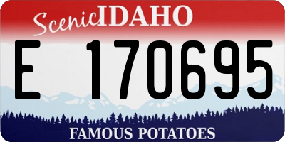 ID license plate E170695