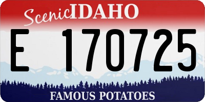 ID license plate E170725