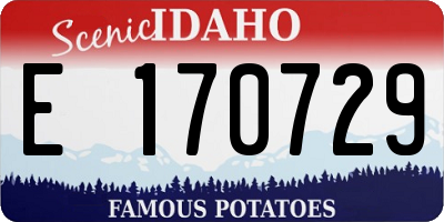 ID license plate E170729