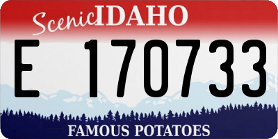 ID license plate E170733