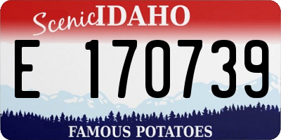 ID license plate E170739