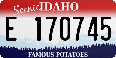 ID license plate E170745