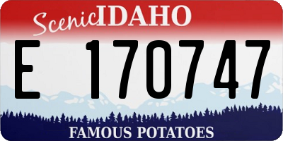 ID license plate E170747