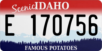 ID license plate E170756