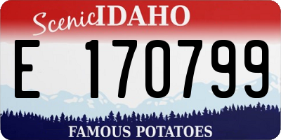 ID license plate E170799