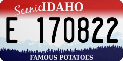 ID license plate E170822