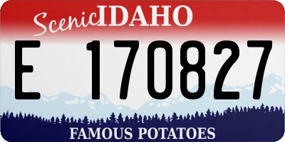 ID license plate E170827