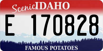 ID license plate E170828