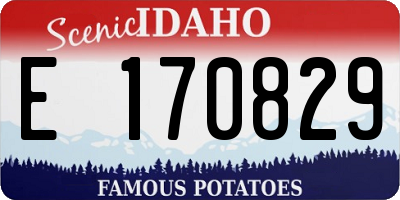 ID license plate E170829