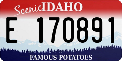 ID license plate E170891