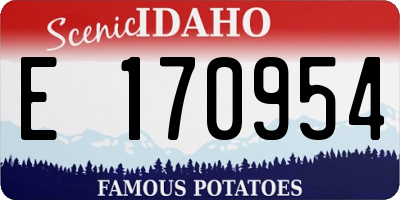 ID license plate E170954
