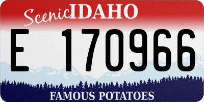 ID license plate E170966