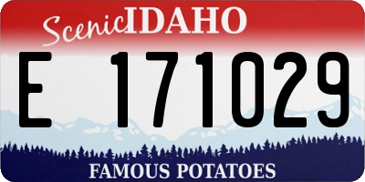 ID license plate E171029