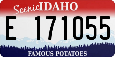ID license plate E171055