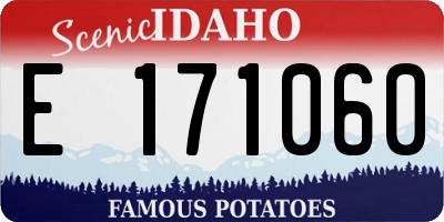 ID license plate E171060