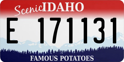 ID license plate E171131