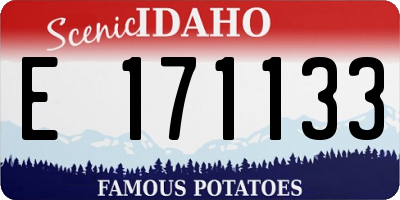 ID license plate E171133