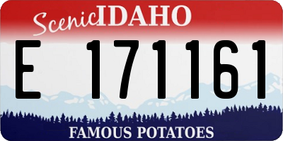 ID license plate E171161