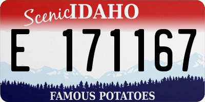 ID license plate E171167