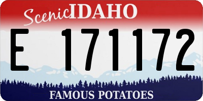 ID license plate E171172