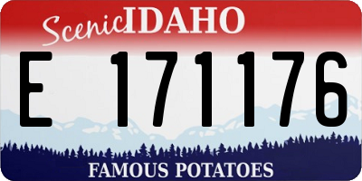 ID license plate E171176
