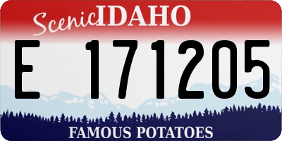 ID license plate E171205
