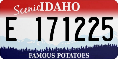 ID license plate E171225