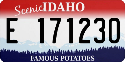 ID license plate E171230