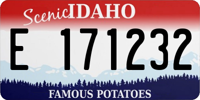 ID license plate E171232