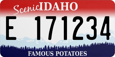 ID license plate E171234