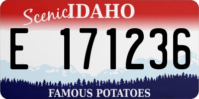 ID license plate E171236