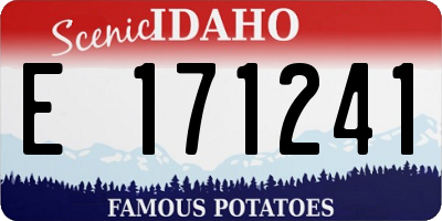 ID license plate E171241