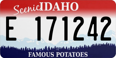 ID license plate E171242