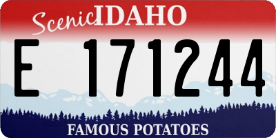 ID license plate E171244