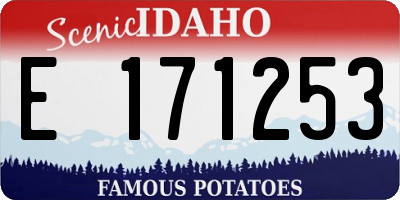 ID license plate E171253