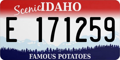 ID license plate E171259