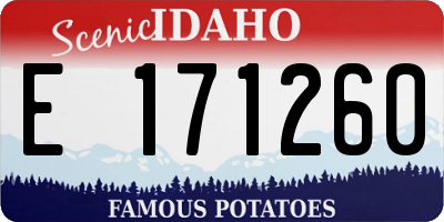 ID license plate E171260