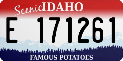 ID license plate E171261