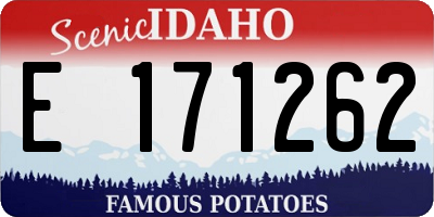 ID license plate E171262