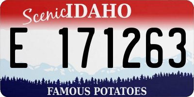 ID license plate E171263