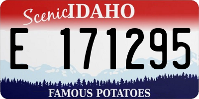 ID license plate E171295