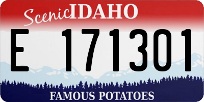 ID license plate E171301