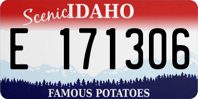 ID license plate E171306