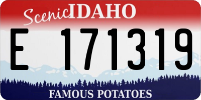 ID license plate E171319