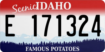 ID license plate E171324
