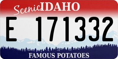 ID license plate E171332