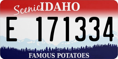 ID license plate E171334