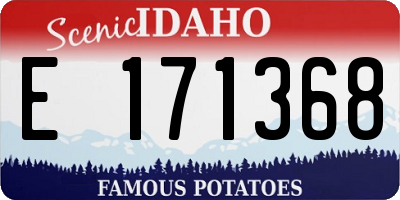 ID license plate E171368