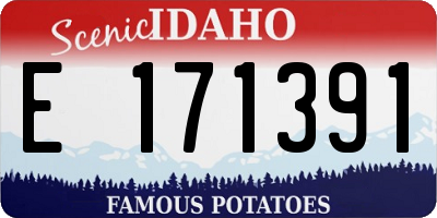 ID license plate E171391