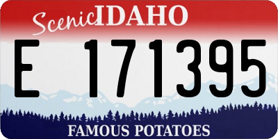 ID license plate E171395